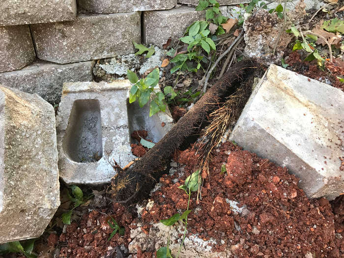 root wad removed from sewer line 1-2-2017