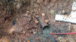 septic system lateral line repair springfield mo