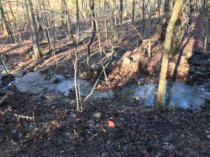 sewage water on top of buried septic tank